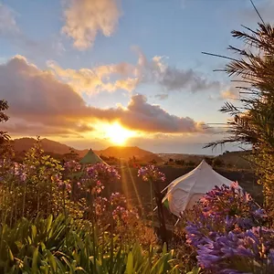 lotus-yurt.in-canary-islands.com/